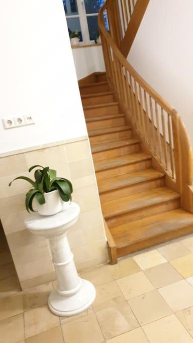 Ferienwohnung In Der Villa Sana Mit Grossem Garten Rofingen Екстериор снимка
