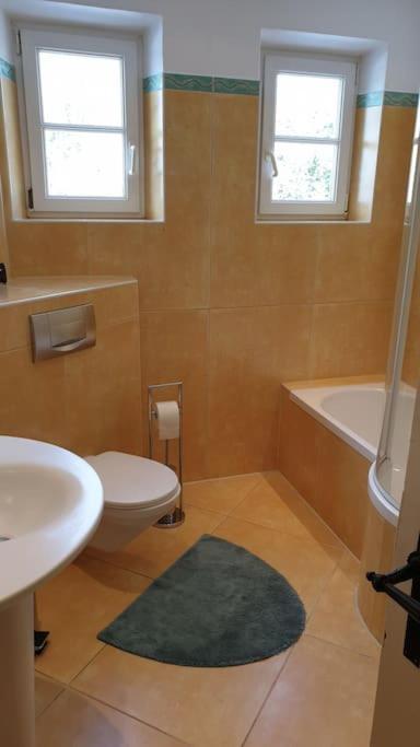 Ferienwohnung In Der Villa Sana Mit Grossem Garten Rofingen Екстериор снимка